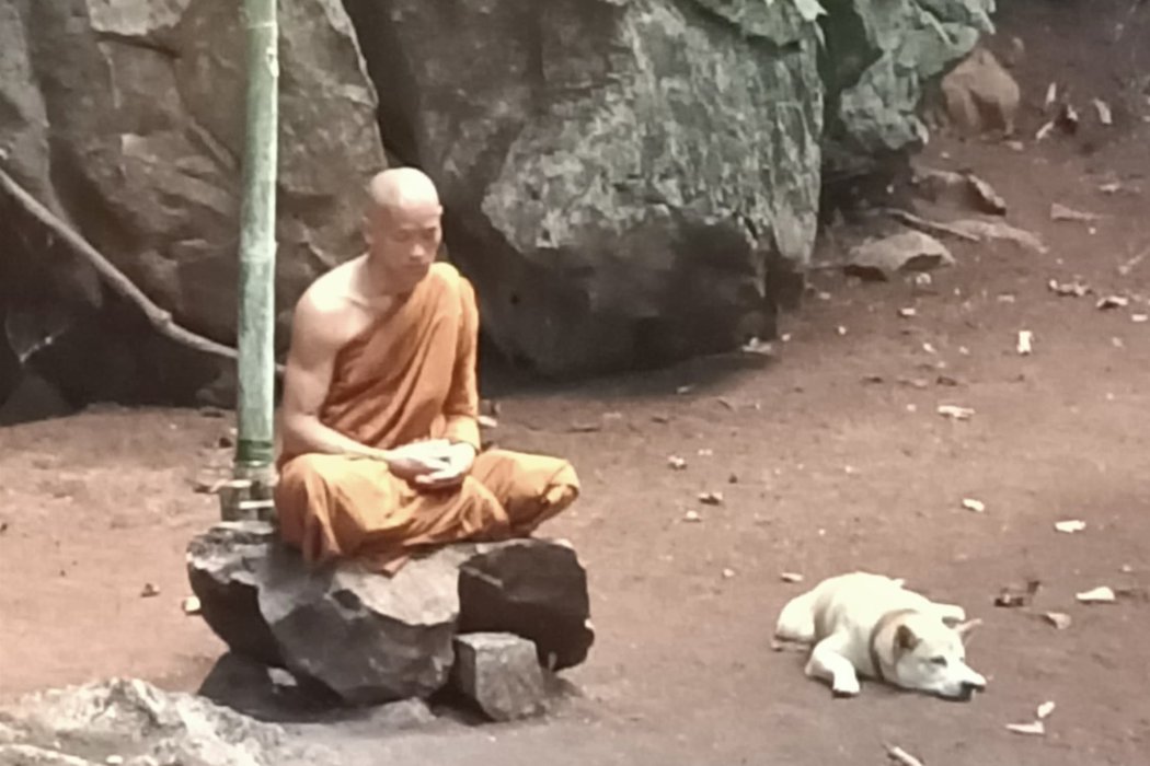 Moine en méditation en Thaïlande